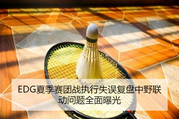 EDG夏季赛团战执行失误复盘中野联动问题全面曝光